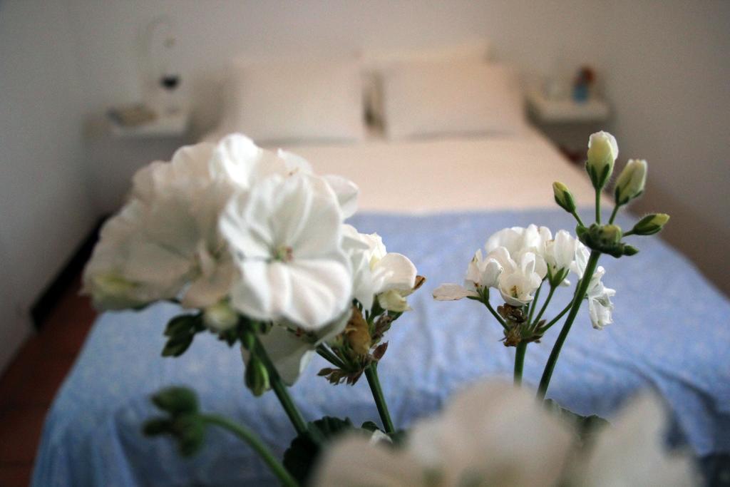 A Casa Da Arvore Bed & Breakfast Vila Nova de Milfontes Ruang foto