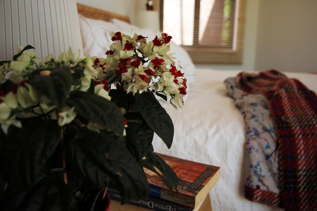 A Casa Da Arvore Bed & Breakfast Vila Nova de Milfontes Ruang foto