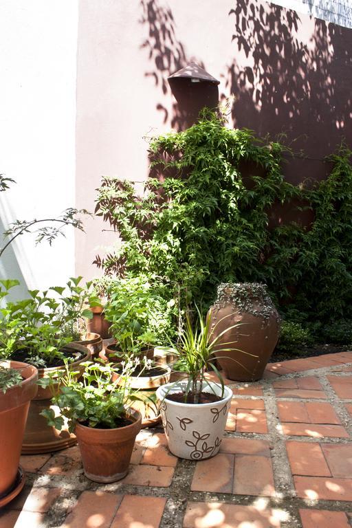 A Casa Da Arvore Bed & Breakfast Vila Nova de Milfontes Bagian luar foto